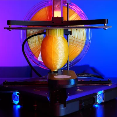 Lemontron Rev D - Máy in 3D giá rẻ cho người Úc!