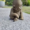 Chú Khỉ Gorilla Con Tinh Nghịch - Thumbnail 4