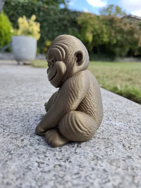 Chú Khỉ Gorilla Con Tinh Nghịch - Image 5