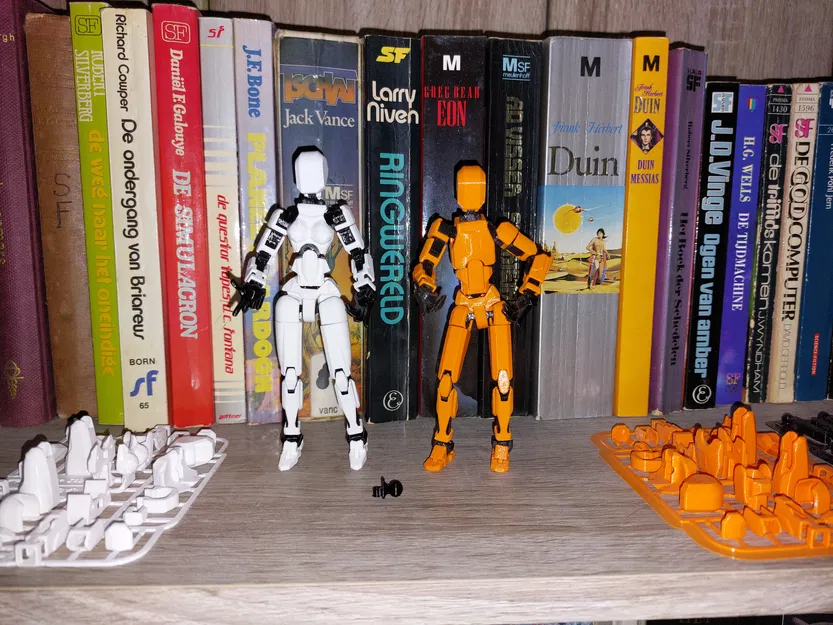 Lady 13 v1.0 - Mô hình 3D In được - Image 3