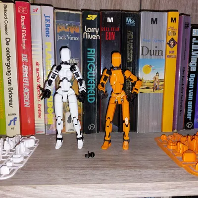 Lady 13 v1.0 - Mô hình 3D In được