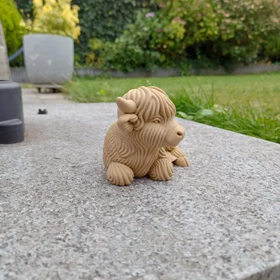 Bò Cao Nguyên – Tư Thế Thư Giãn