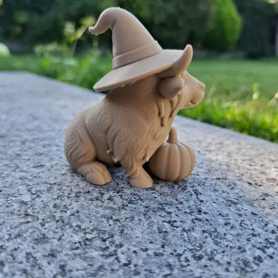 Bò Cao Nguyên Phù Thủy Cùng Bí Ngô