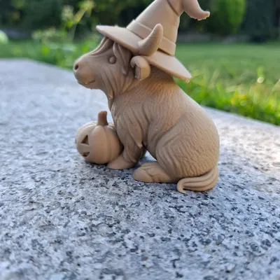 Bò Cao Nguyên Phù Thủy Cùng Bí Ngô