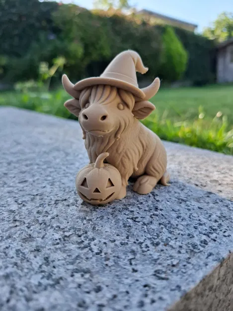 Bò Cao Nguyên Phù Thủy Cùng Bí Ngô - Image 4