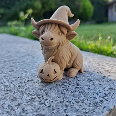 Bò Cao Nguyên Phù Thủy Cùng Bí Ngô