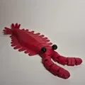 Mô hình Anomalocaris In Liền - Thumbnail 1