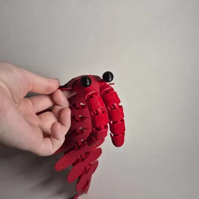 Mô hình Anomalocaris In Liền