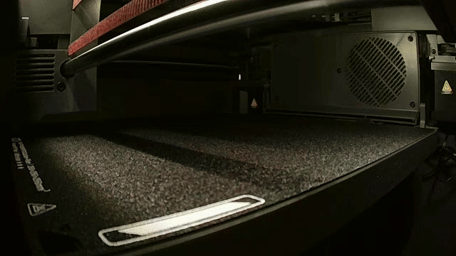 Mô hình Anomalocaris In Liền - Thumbnail 3