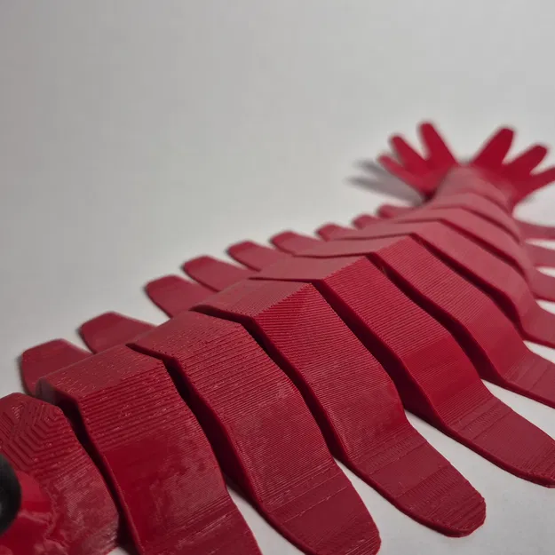 Mô hình Anomalocaris In Liền - Image 4