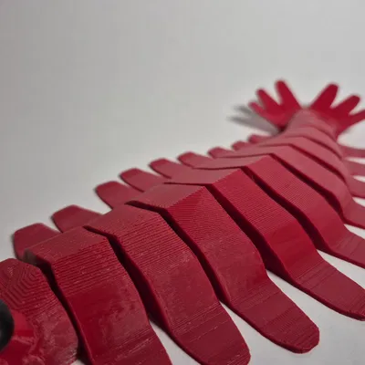 Mô hình Anomalocaris In Liền