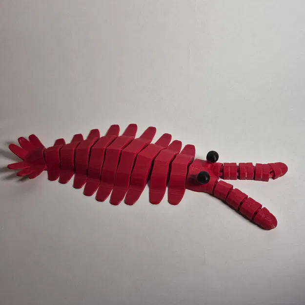 Mô hình Anomalocaris In Liền - Image 5