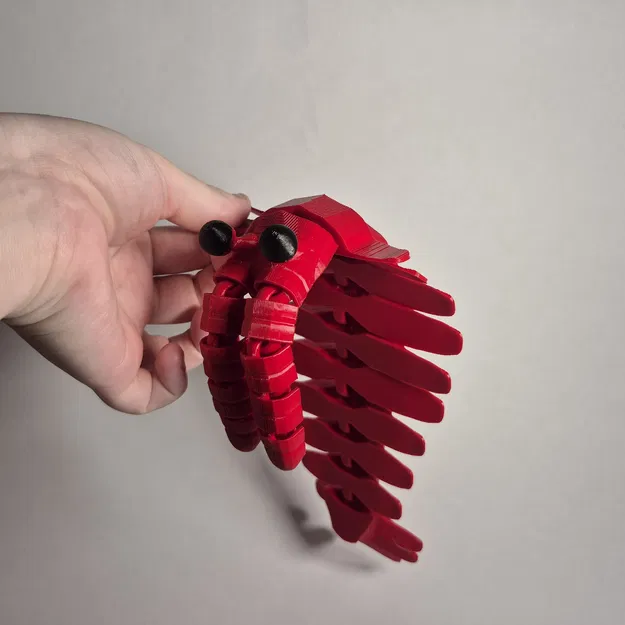 Mô hình Anomalocaris In Liền - Image 6