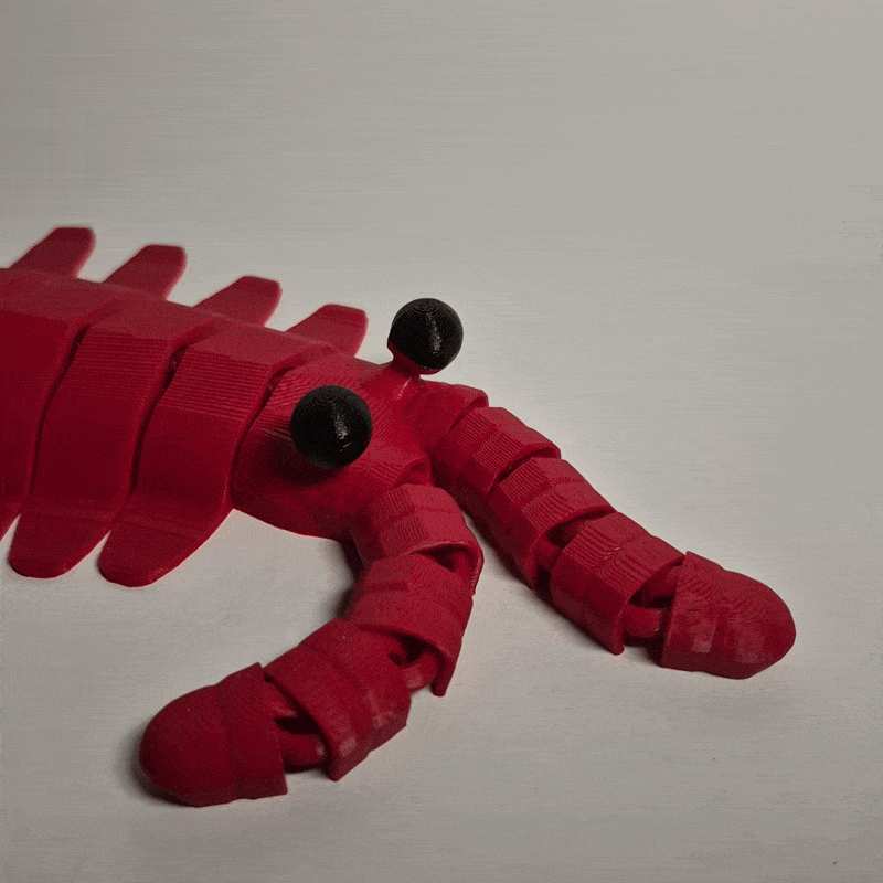Mô hình Anomalocaris In Liền - Image 7