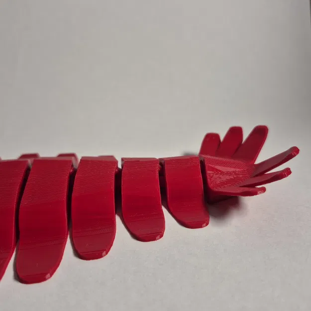 Mô hình Anomalocaris In Liền - Image 8