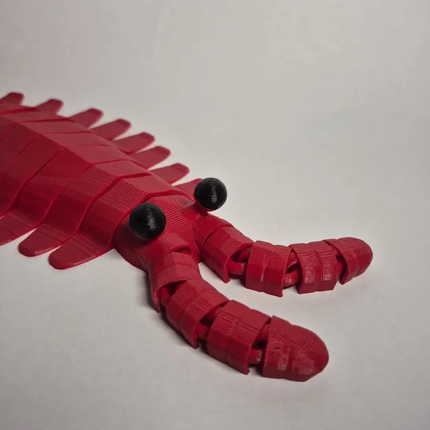 Mô hình Anomalocaris In Liền - Image 10