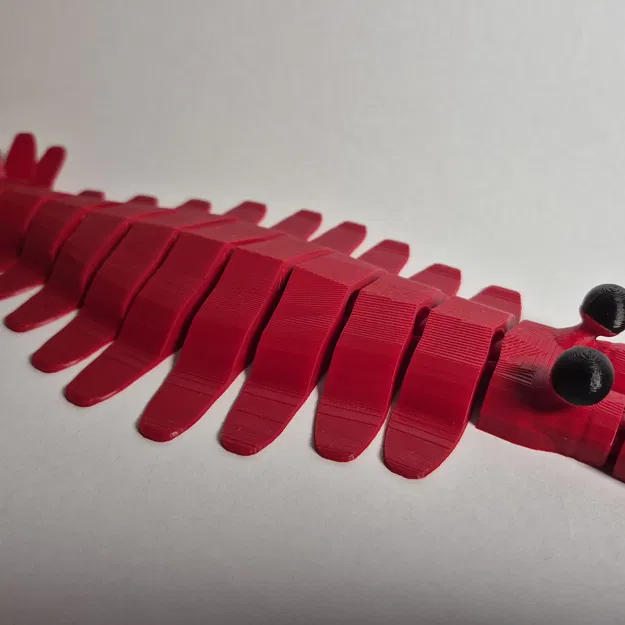 Mô hình Anomalocaris In Liền - Image 11