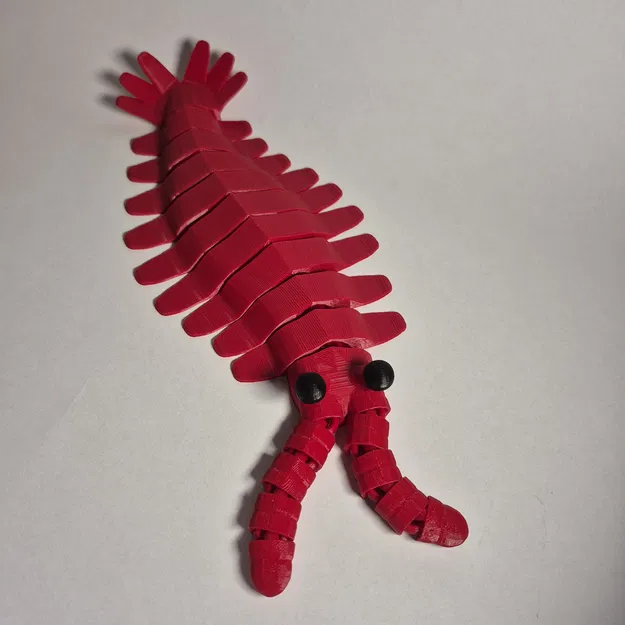 Mô hình Anomalocaris In Liền - Image 12