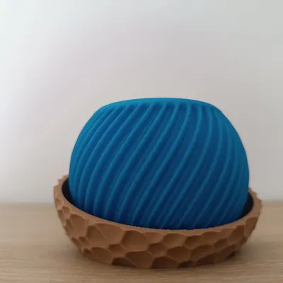 Chậu Trồng Cây Xoắn Ốc Độc Đáo