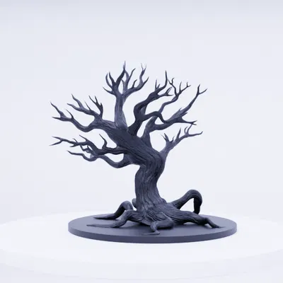 Cây Tỉnh Thức - Vị Thần Hộ Mệnh Rừng Già