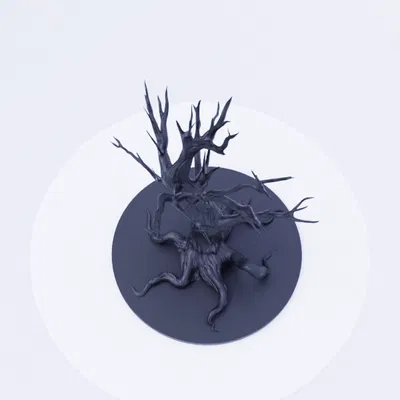 Cây Tỉnh Thức - Vị Thần Hộ Mệnh Rừng Già