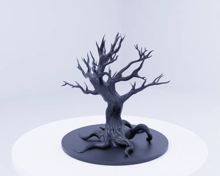 Cây Tỉnh Thức - Vị Thần Hộ Mệnh Rừng Già - Image 6