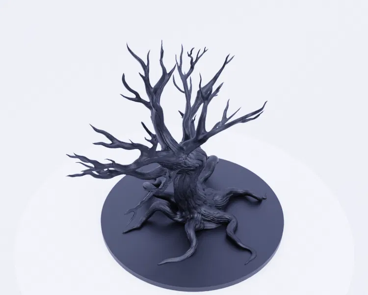 Cây Tỉnh Thức - Vị Thần Hộ Mệnh Rừng Già - Image 9