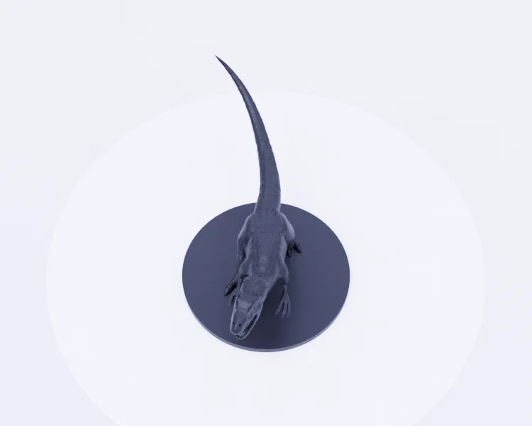 Allosaurus - Kẻ Săn Mồi Hung Tợn Thời Jurassic - Image 8