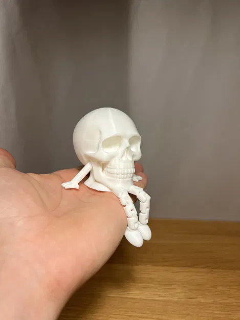 Tượng Đầu Lâu Khớp Thái Thái - Phiên Bản "Bạn Bè" - Image 3