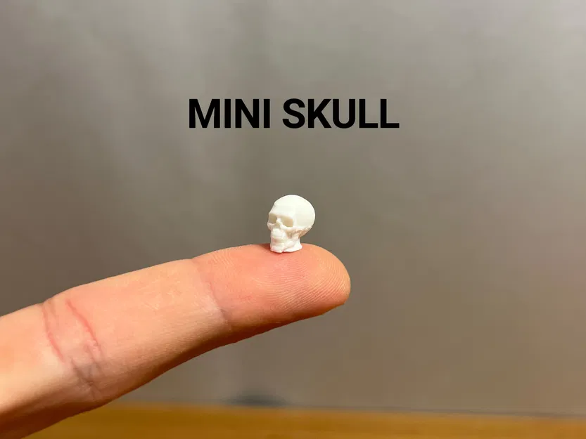 Mô Hình Đầu Lâu Tí Hon - Mini Skull - Image 1