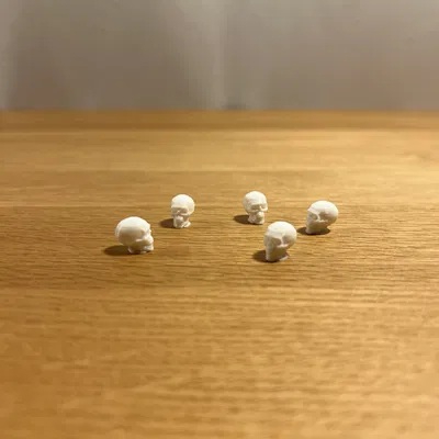 Mô Hình Đầu Lâu Tí Hon - Mini Skull