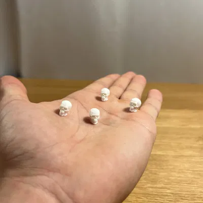 Mô Hình Đầu Lâu Tí Hon - Mini Skull