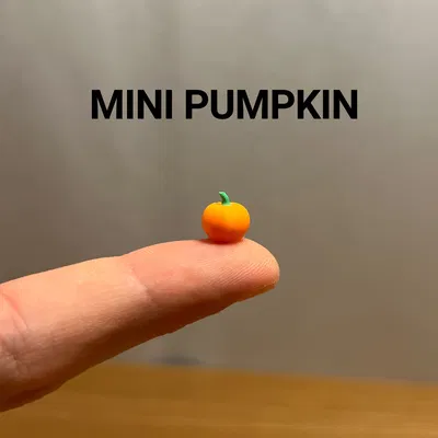 Bí Ngô Mini Nhỏ Xinh Cho Mùa Halloween