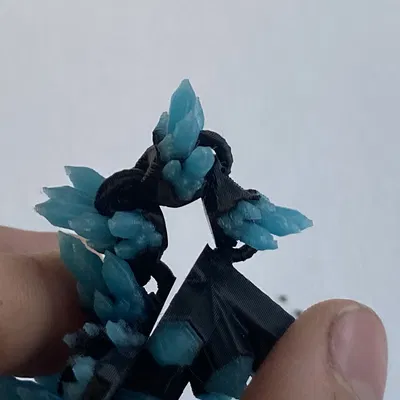 Rồng Con Vảy Pha Lê