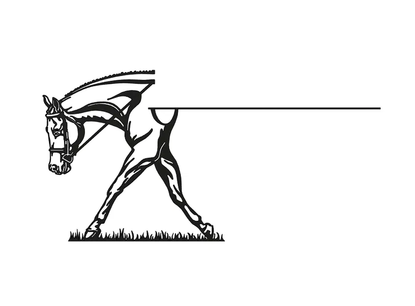 Ngựa & Tên - Image 1