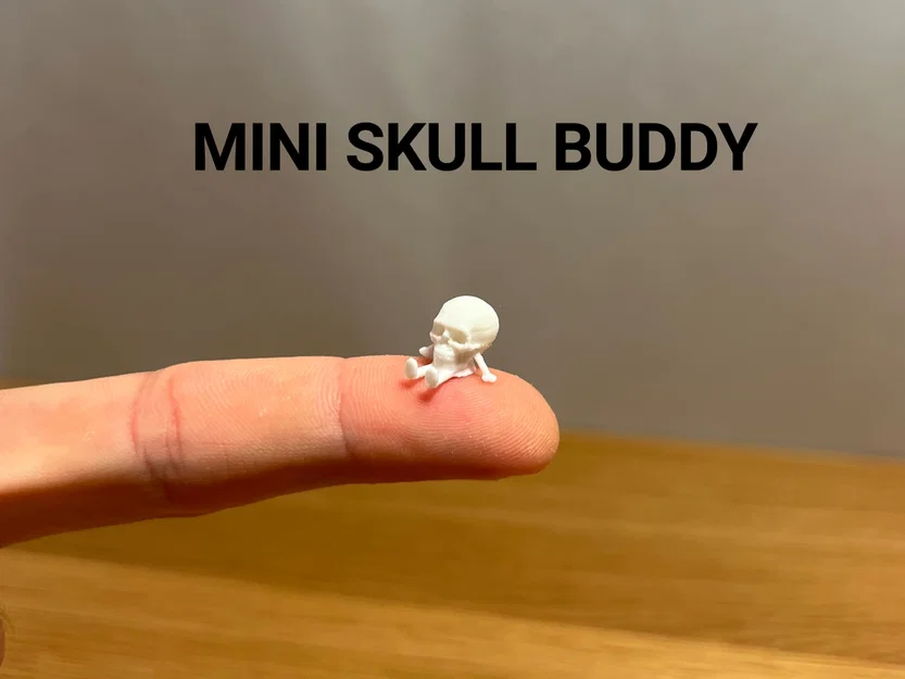 Mini Skull Buddy - Bạn Đồng Hành Tí Hon - Image 1