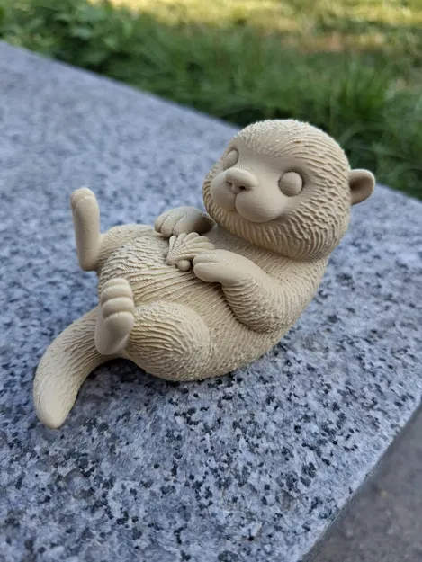 Rái Cá Biển Ôm Vỏ Sò - Image 1