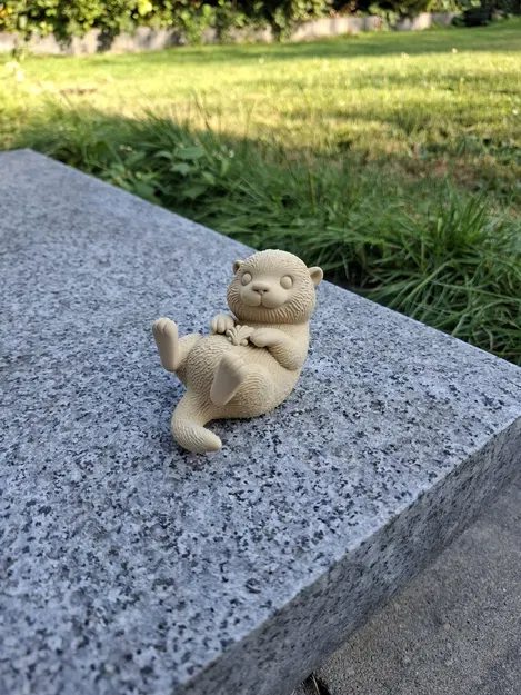 Rái Cá Biển Ôm Vỏ Sò - Image 2