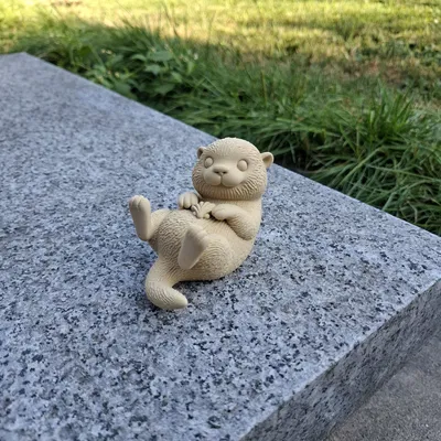 Rái Cá Biển Ôm Vỏ Sò