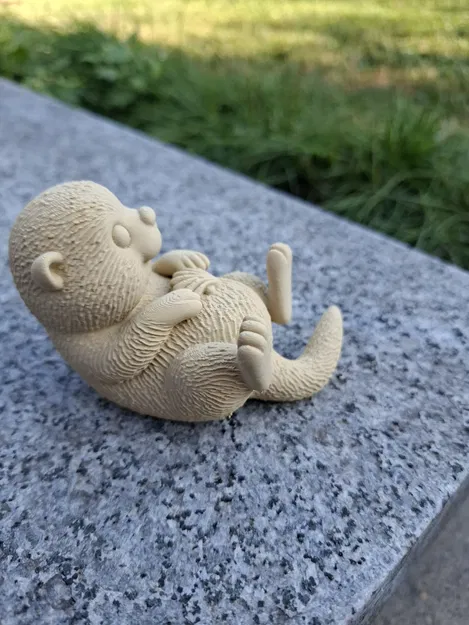 Rái Cá Biển Ôm Vỏ Sò - Image 3