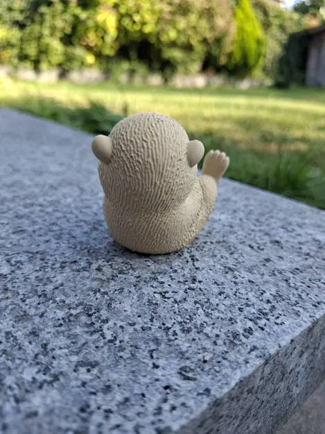 Rái Cá Biển Ôm Vỏ Sò - Image 5