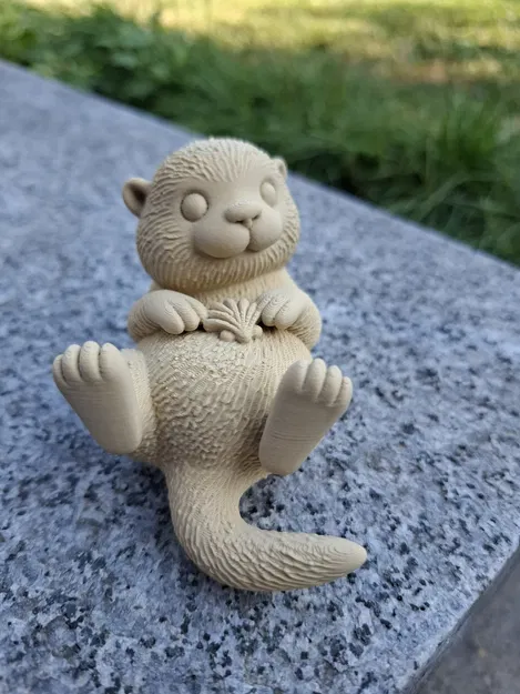 Rái Cá Biển Ôm Vỏ Sò - Image 6