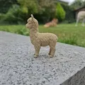 Alpaca Tí Hon Siêu Dễ Thương - Thumbnail 1