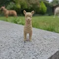 Alpaca Tí Hon Siêu Dễ Thương - Thumbnail 2