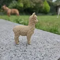 Alpaca Tí Hon Siêu Dễ Thương - Thumbnail 3