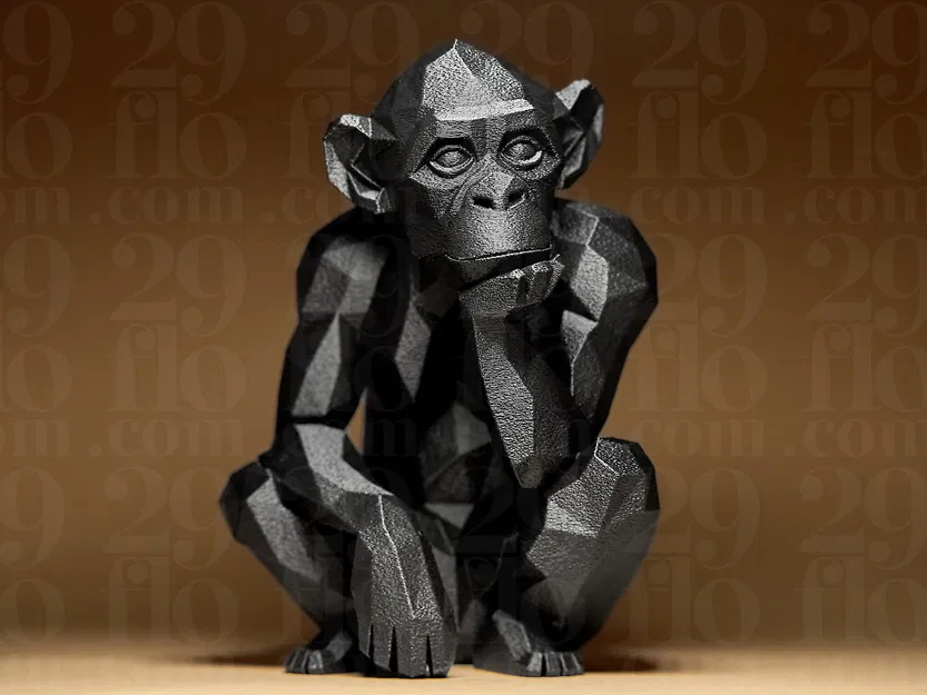 Khỉ Hình Học - Image 4