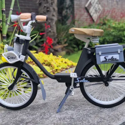 Mô hình Velo Solex 2200 1960 tỉ lệ 1:8 của Ed van der Heijden