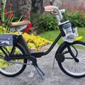 Mô hình Velo Solex 2200 1960 tỉ lệ 1:8 của Ed van der Heijden - Thumbnail 15