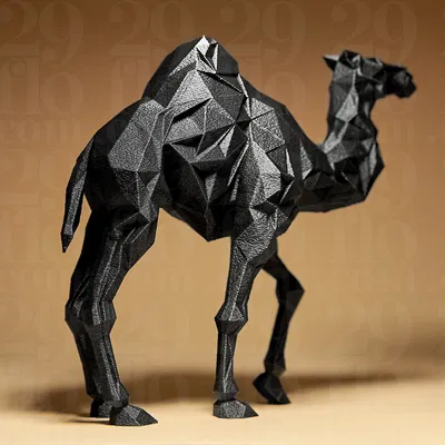 Mô hình Lạc đà Hình học