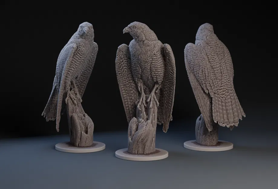 Chim Ưng Lông Mượt - Image 1